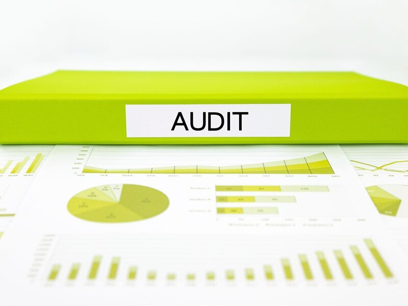 Audit Extern Rapid - Auditor CAFR/ASPAAS Autorizat - Disponibilitate Imedia