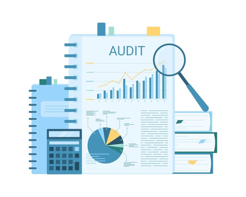Audit Extern Rapid - Auditor CAFR/ASPAAS Autorizat - Disponibilitate Imedia