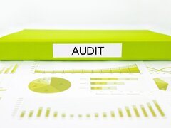 Audit Extern Rapid - Auditor CAFR/ASPAAS Autorizat - Disponibilitate Imedia