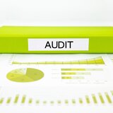 Audit Extern Rapid - Auditor CAFR/ASPAAS Autorizat - Disponibilitate Imedia